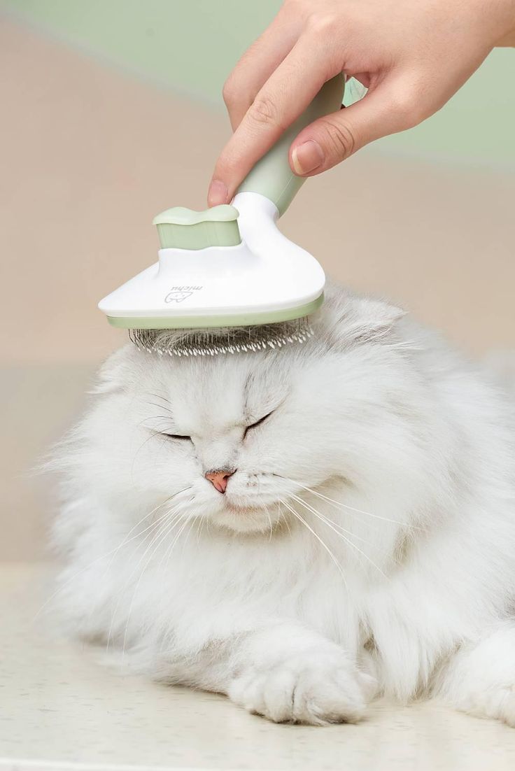 Pet brushes