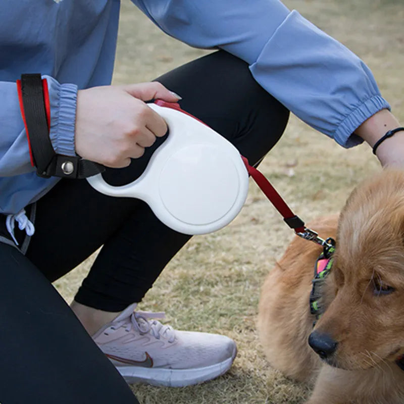 Dog Leash Hands Free Leash Bracelet