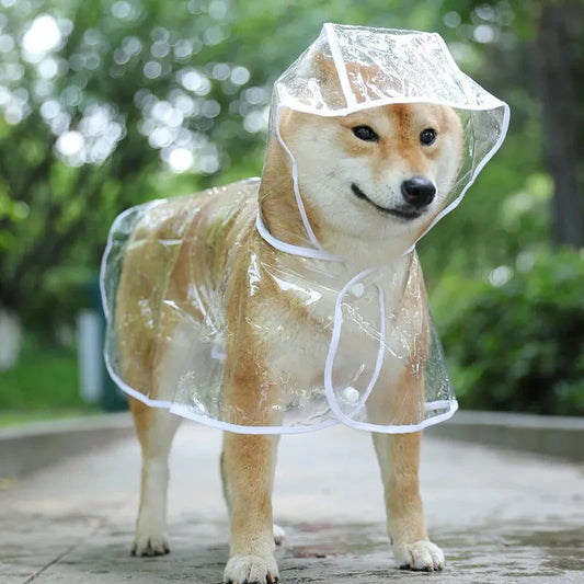 Dog Rainwear