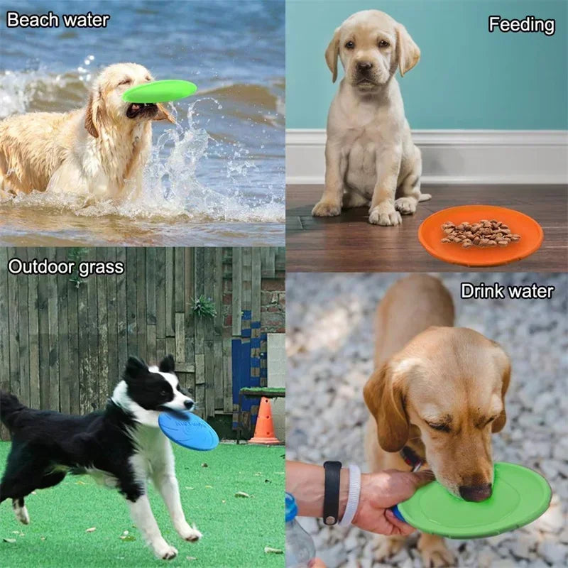 Frisbeed Dog Toy