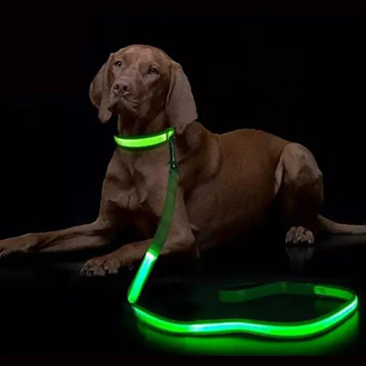 Light Up Dog Leash