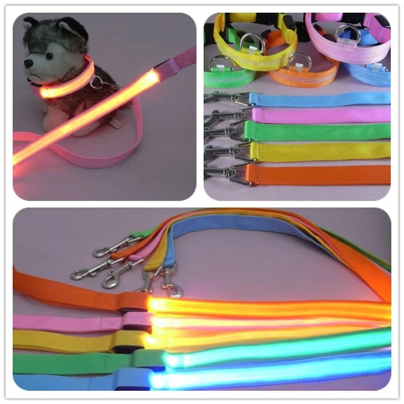 Light Up Dog Leash