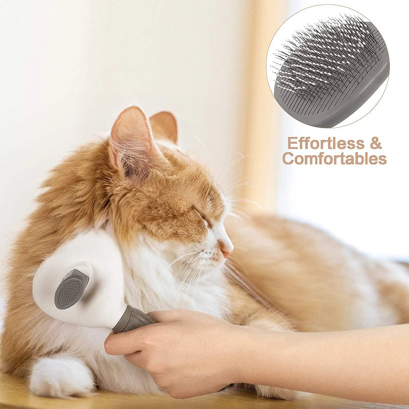 Cat Brush