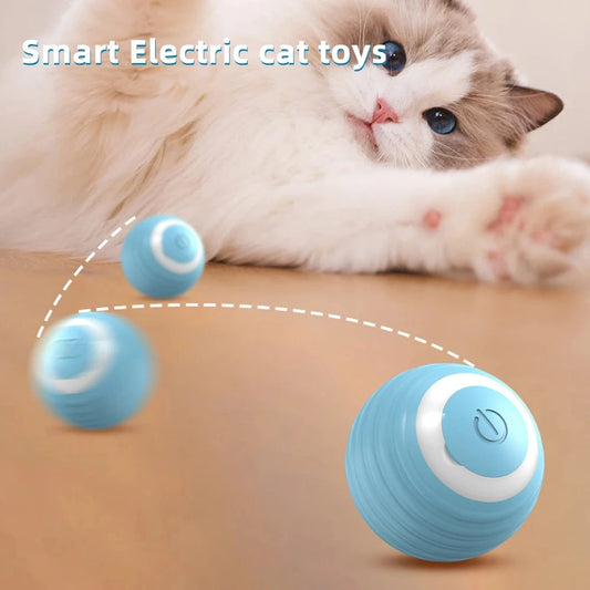 Cat  toys