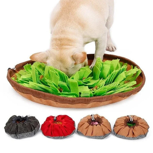 Pet Mat Pet Puzzle Toy