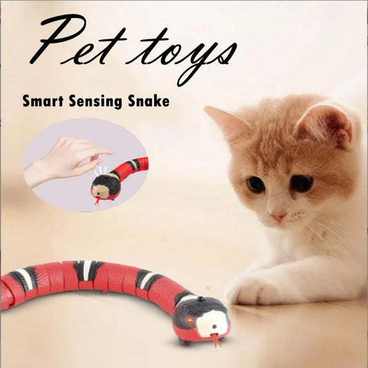 Cat Electronic snake