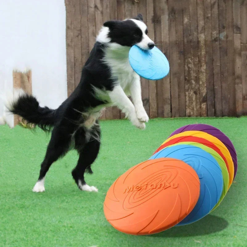 Frisbeed Dog Toy