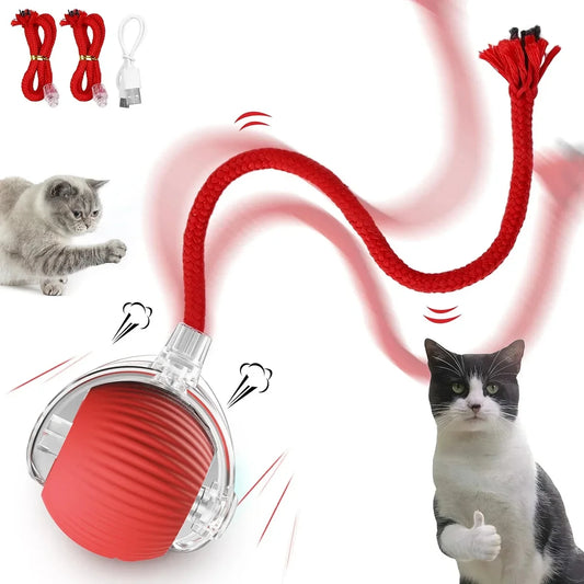 Cat Toys