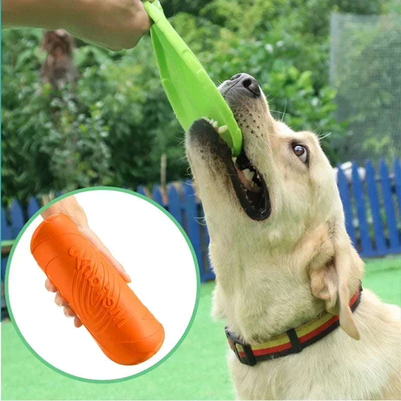 Frisbeed Dog Toy