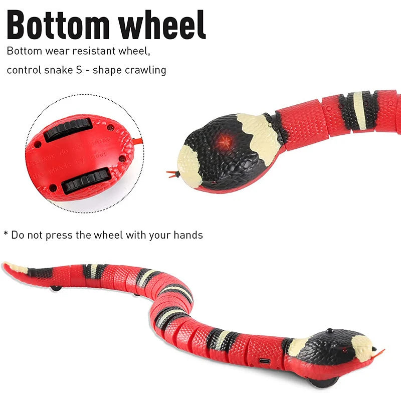 Cat Electronic snake