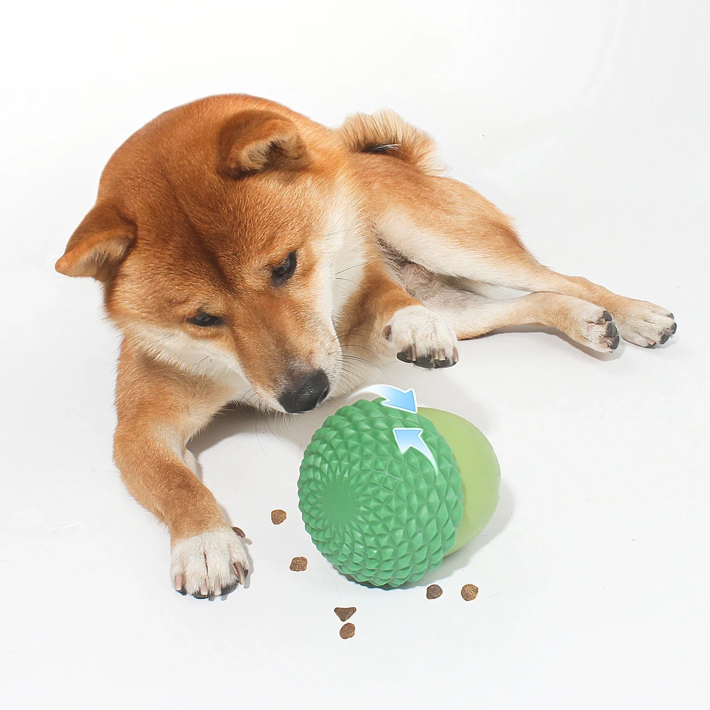 Pet  Acorn Food Toy