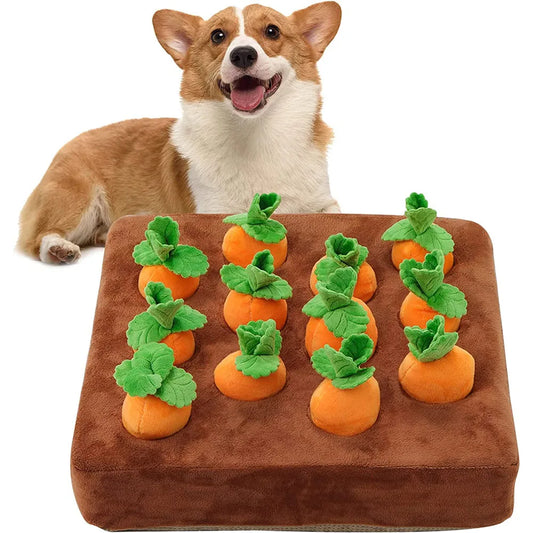 Pet Carrot Snuffle Mat