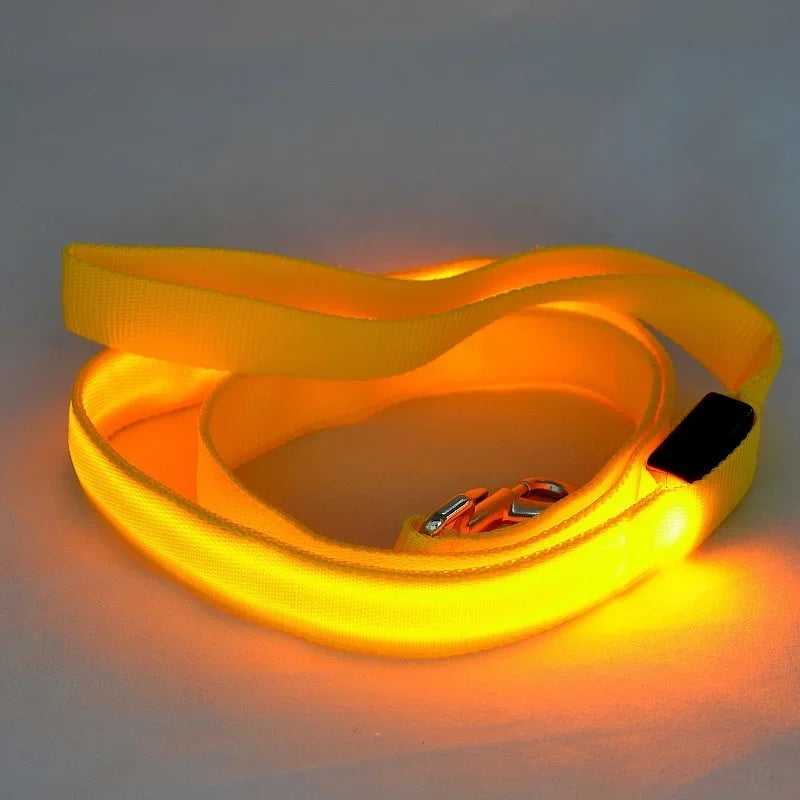 Light Up Dog Leash