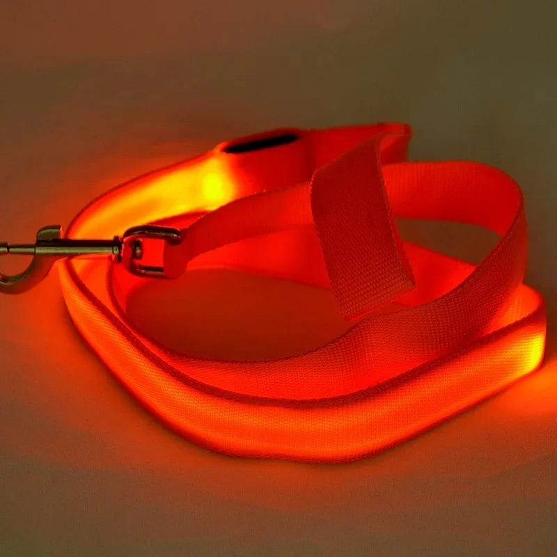 Light Up Dog Leash