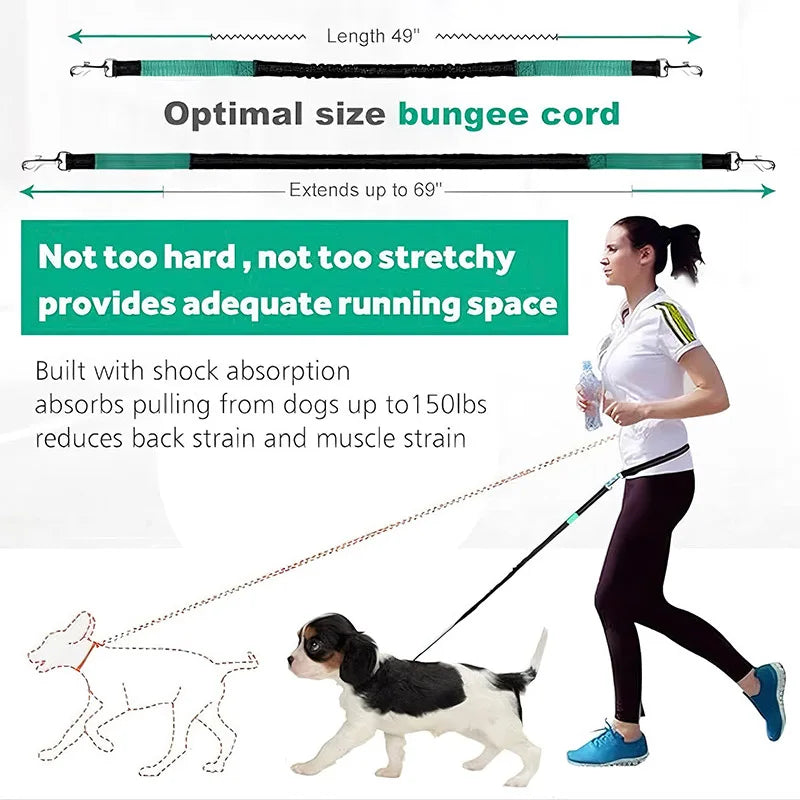 Hand Free Dog Leash