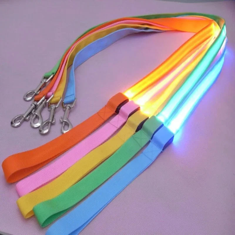 Light Up Dog Leash