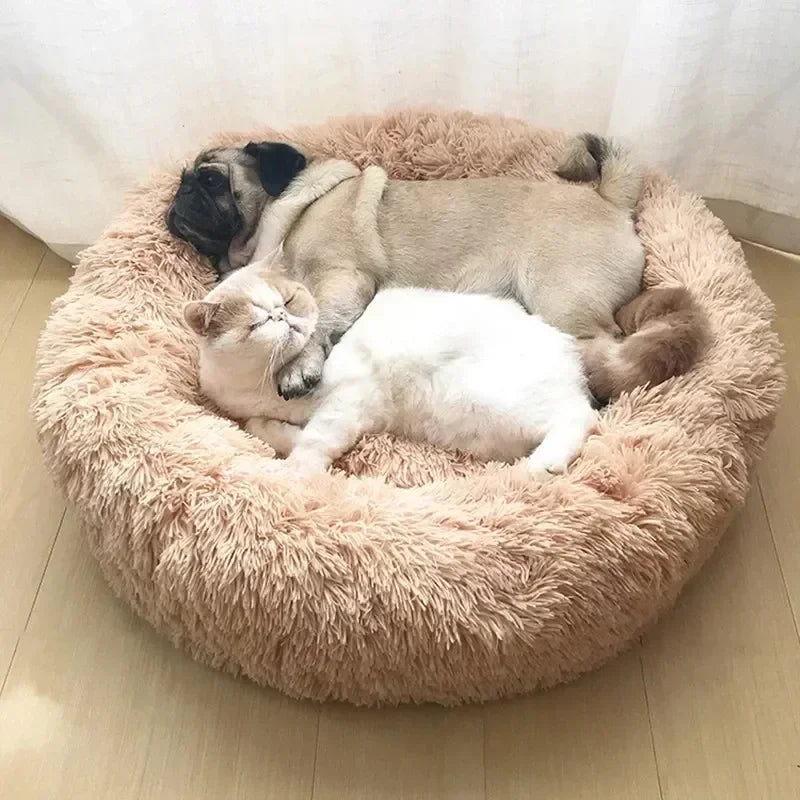 DOG plush bed